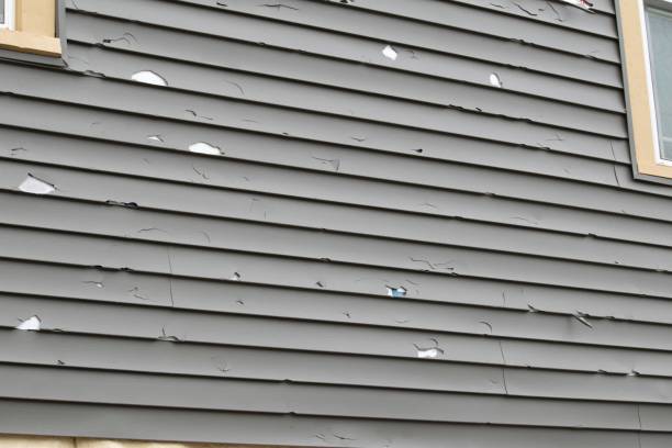Best Shed Removal  in Lakeview, CA